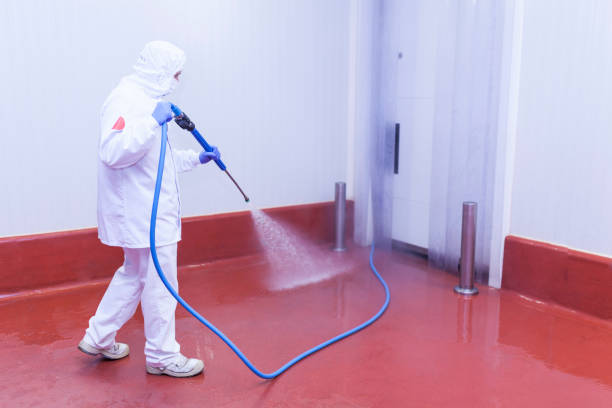 Best Dumpster Area Cleaning  in Montgomery, MN