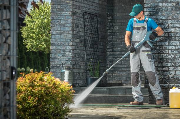 Best Roof Washing  in Montgomery, MN