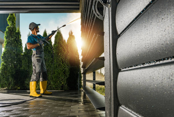 Best Spring Cleaning  in Montgomery, MN